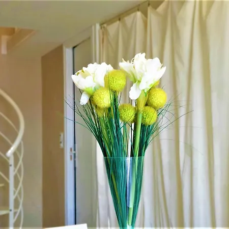 Apartamento Sm670-077 Maxime La Nartelle-soleil D'or Jusqu'a 4 Pers