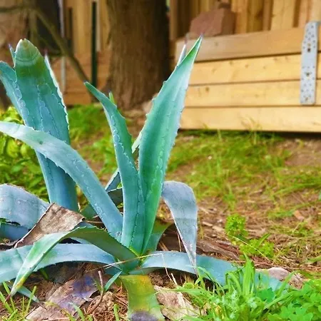 Apartamento Sm077 Maxime La Nartelle-soleil D'or Jusqu'a 4 Pers