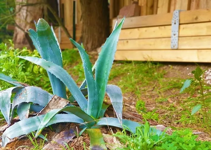 Apartamento Sm670-077 Maxime La Nartelle-soleil D'or Jusqu'a 4 Pers